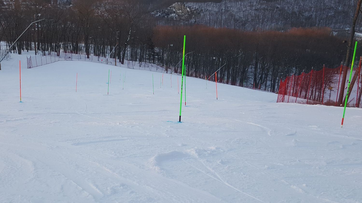 Dual Slalom Course