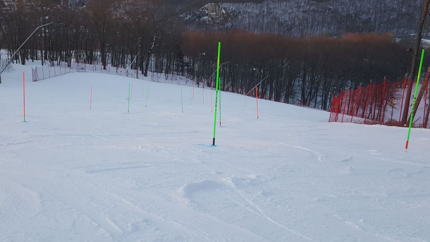 Dual Slalom Course
